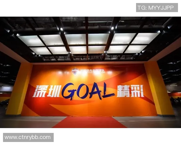 杭州乒乓球队重塑辉煌的反击之路与创新策略探讨